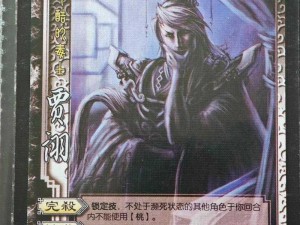 主公莫慌：深度解读贾诩图鉴，三国智慧与谋略解析