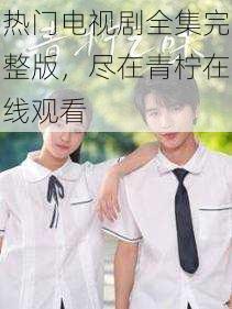 热门电视剧全集完整版,尽在青柠在线观看