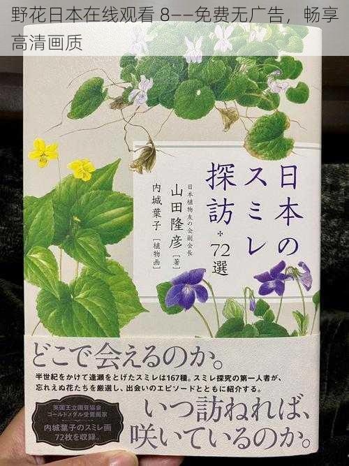 野花日本在线观看 8——免费无广告,畅享高清画质