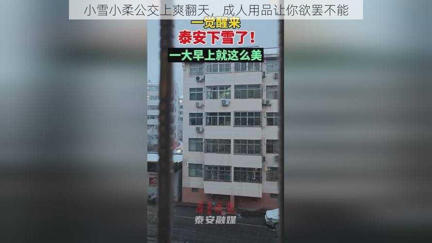 小雪小柔公交上爽翻天,成人用品让你欲罢不能