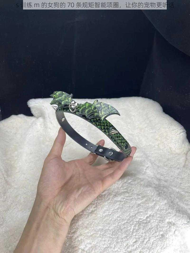 s 训练 m 的女狗的 70 条规矩智能项圈,让你的宠物更听话