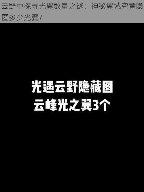 云野中探寻光翼数量之谜:神秘翼域究竟隐匿多少光翼?